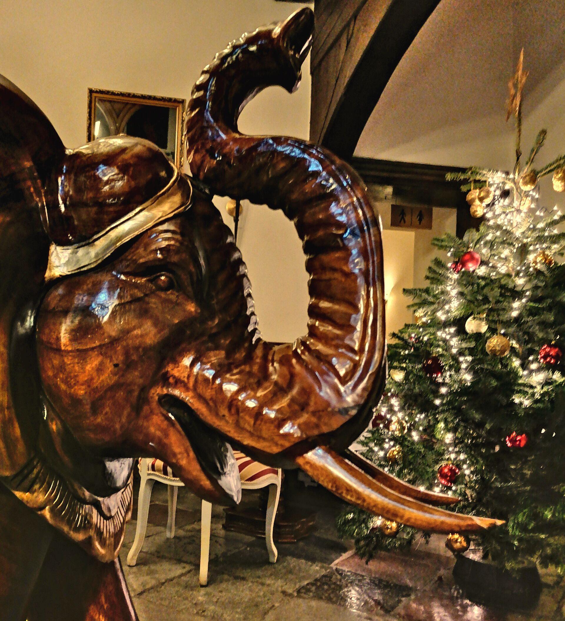 Guest house Hotel Denkmal 13 Rostock - Kaufmannshaus Krahnstoever Rostock